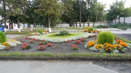 Здесь всегда уютно